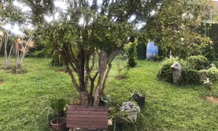 Fazenda para alugar na Estrada Velha Bragança Paulista, --, Tanque, Atibaia