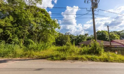 Terreno/Área no Butiatuvinha de 1137,57 m²  - 94432.001-KD