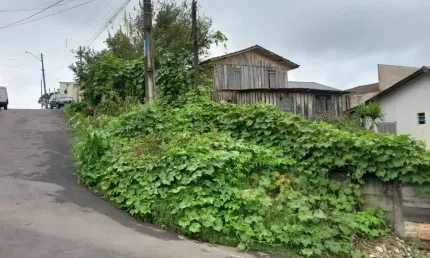 Terreno/área à venda com 420m² em almirante tamandaré