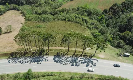 Terreno/Área no Samanbaia de 6814,75 m²  - 93962.001-KD