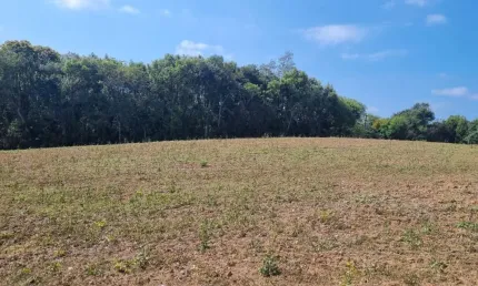 Terreno à venda na Rua Luiz Francisco Pase, Jardim Cecília, Campo Magro