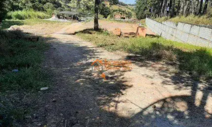 Terreno à venda, 8652 m² por R$ 5.523.000,00 - Sítio São Francisco - Guarulhos/SP
