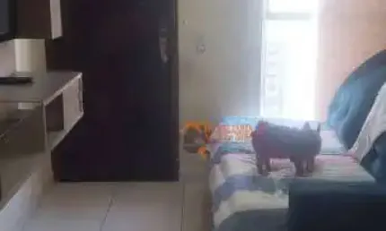 Apartamento com 2 dormitórios à venda, 52 m² por R$ 245.000,00 - Parque Renato Maia - Guarulhos/SP