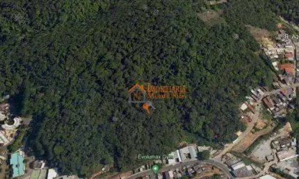 Terreno à venda, 88000 m² por R$ 7.098.000,00 - Recreio São Jorge - Guarulhos/SP