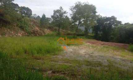 Terreno à venda, 10000 m² por R$ 4.950.000,00 - Chácara das Lavras - Guarulhos/SP