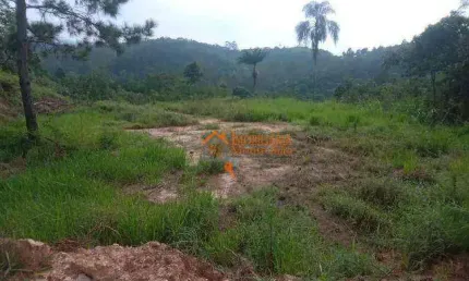 Terreno à venda, 5000 m² por R$ 2.500.000,00 - Chácara das Lavras - Guarulhos/SP