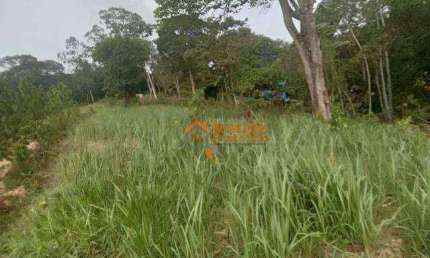 Terreno à venda, 5000 m² por R$ 2.500.000,00 - Capelinha - Guarulhos/SP