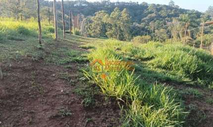 Terreno à venda, 1320 m² por R$ 106.000,00 - Tanque Grande - Guarulhos/SP
