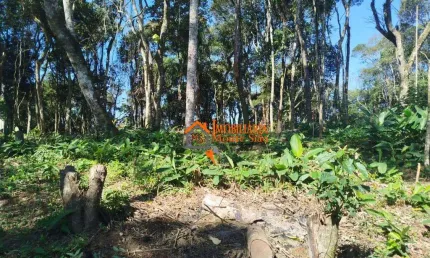 Terreno à venda, 3.068m²  por R$ 212.000 - Parque Santos Dumont - Guarulhos/SP