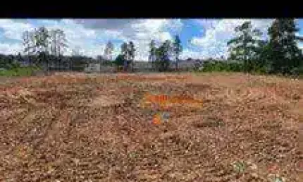 Terreno para alugar, 13000 m² por R$ 27.500,00/mês - Parque Santos Dumont - Guarulhos/SP