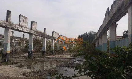 Área para alugar, 6000 m² por R$ 12.317,00/mês - Pimentas - Guarulhos/SP