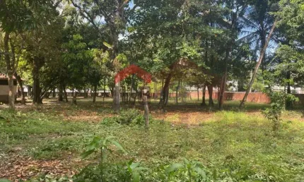 Terreno à venda na Avenida São Luís Rei de França, Turu, São Luís