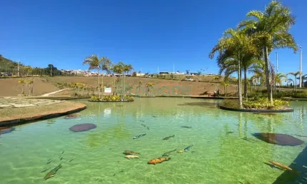 Terreno à venda, 304 m² por R$ 410.000,00 - Estrela Alta - Juiz de Fora/MG