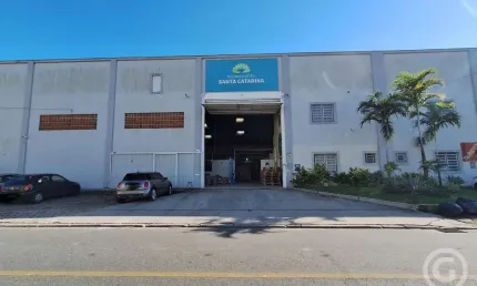 Galpão estratégico, em São José, com amplo espaço e acesso facilitado à BR-101