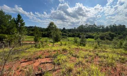 Terreno à venda na Rodovia BR 116, Parque Eldorado, Eldorado do Sul