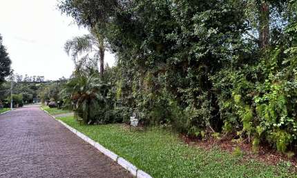 Terreno em condomínio fechado à venda na Rua Caroba, São Lucas, Viamão