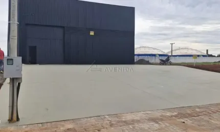 Barracão / Galpão / Depósito para alugar na Av. Dicesar Plaisant Filho, --, São Lourenço, Londrina por R$ 10.000