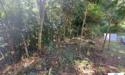 Lote em Condomínio Fechado para Venda em Nova Lima, Arvoredo