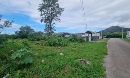 Amplo Terreno em rua asfaltada na região do Sertãozinho.