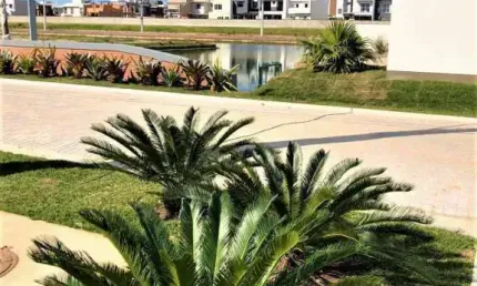 Terreno em condomínio fechado à venda na Rodovia Sc 407 - Avenida Central, Deltaville, Biguaçu