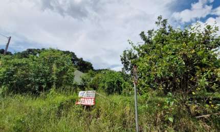 Terreno à venda na Rua do Carvalho, 432, São Dimas, Colombo