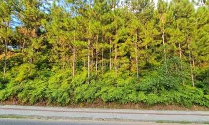 Terreno comercial à venda na Avenida 21 de Janeiro, Centro, Pomerode por R$ 2.800.000