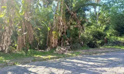 Terreno à venda na rua emílio buerger, fidélis, blumenau por r$ 250.000