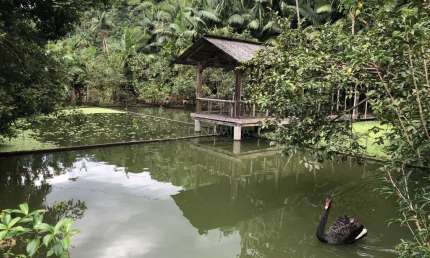 Chácara / sítio com 3 quartos à venda na Rua Minas da Prata, 1073, Progresso, Blumenau, 160 m2 por R$ 2.500.000