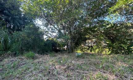Terreno à venda na Rua Tereza Cristina, Velha, Blumenau por R$ 400.000