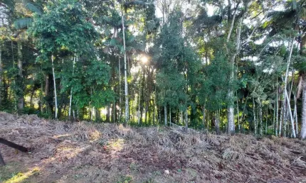 Terreno à venda na Rua Arnoldo Lübke, 09, Velha, Blumenau por R$ 449.000