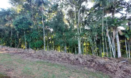 Terreno à venda na rua arnoldo lübke, 09, velha, blumenau por r$ 449.000