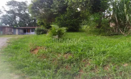 Terreno à venda na rua tapajós, 378, salto do norte, blumenau por r$ 1.750.000
