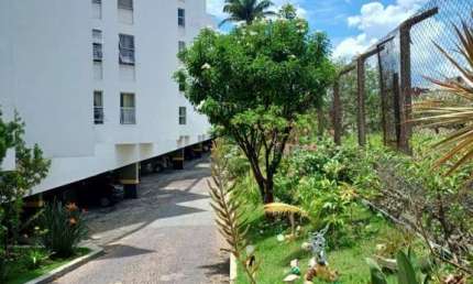 Apartamento para Venda em Belo Horizonte, Itapoã, 2 dormitórios, 1 banheiro, 1 vaga