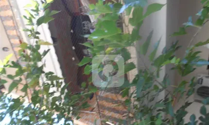 Casa com 3 quartos à venda na Rua Marquês de Valença, Tijuca, Rio de Janeiro