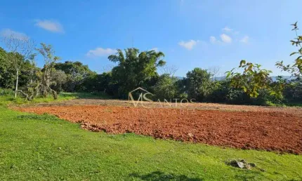 Terreno à venda, 3333 m² por r$ 1.550.000,00 - ratones - florianópolis/sc
