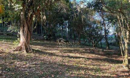 Terreno à venda, 4600 m² por R$ 2.200.000,00 - Ratones - Florianópolis/SC