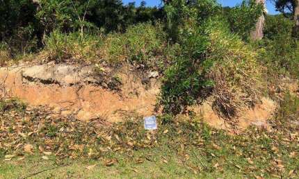Terreno à venda, 450 m² por R$ 1.227.000,00 - Itacorubi - Florianópolis/SC