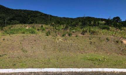 Terreno à venda, 457 m² por R$ 1.315.000,00 - Itacorubi - Florianópolis/SC