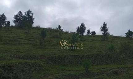 Fazenda à venda, 218000 m² por R$ 990.000,00 - Taquaraçutuba - Imaruí/SC
