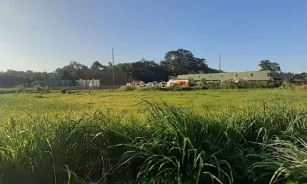 Terreno à venda, 8232 m² por r$ 13.994.000,00 - vargem grande - florianópolis/sc