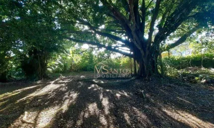 Terreno à venda, 1583 m² por R$ 1.950.000,00 - Cachoeira do Bom Jesus - Florianópolis/SC