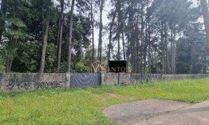 Terreno à venda, 33044 m² por R$ 21.200.000,00 - Vargem Grande - Florianópolis/SC