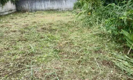 Terreno à venda, 184 m² por r$ 275.000,00 - ponta das canas - florianópolis/sc