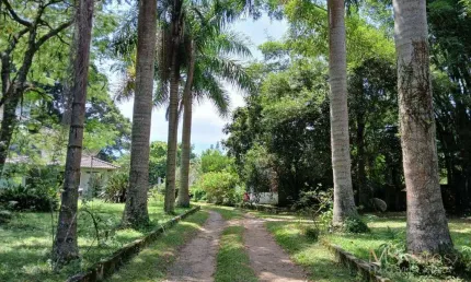 Sítio com 4 dormitórios à venda, 8460 m² por r$ 3.500.000,00 - ratones - florianópolis/sc