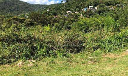 Terreno à venda, 533 m² por R$ 1.289.000,00 - Itacorubi - Florianópolis/SC