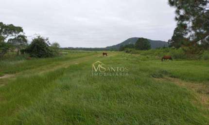 Terreno à venda, 48230 m² por R$ 12.850.000,00 - São João do Rio Vermelho - Florianópolis/SC