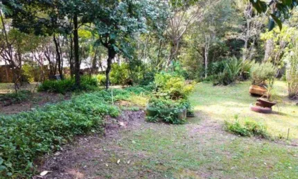 Terreno à venda, 11023 m² por R$ 14.000.000,00 - Cacupé - Florianópolis/SC