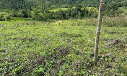 Terreno à venda, 3102 m² por R$ 250.000,00 - Interior  - Imaruí/SC