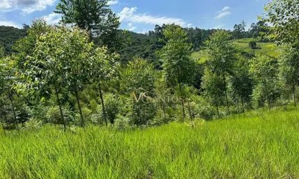 Fazenda à venda, 330000 m² por R$ 2.600.000,00 - Aratingauba - Imaruí/SC
