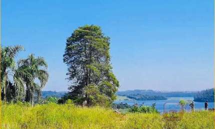 Terreno  à Venda em Vila São José (Cidade Dutra)  -  São Paulo